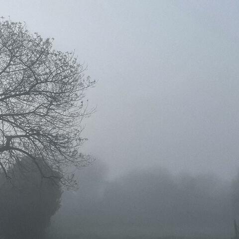 i stood on the edge and looked down