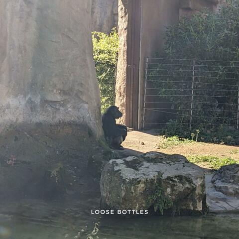 Loose Bottles
