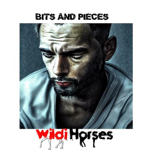 Bits and Pieces