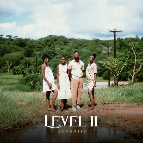 Level 2