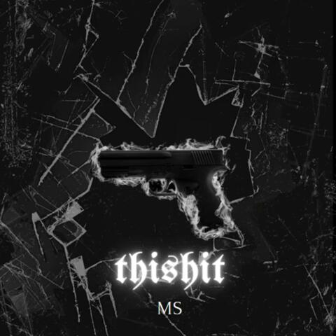 thiSHIT.