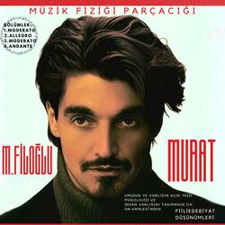 Müzik Fiziği Parçacığı