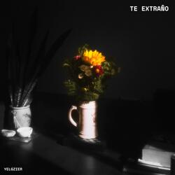 Te Extraño