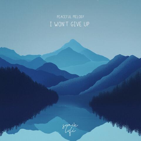 I Won't Give Up
