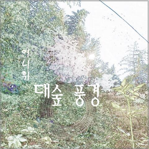 대숲풍경