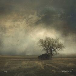 Softly Drawn
