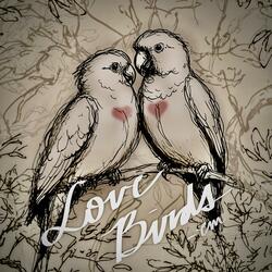 LoveBirds