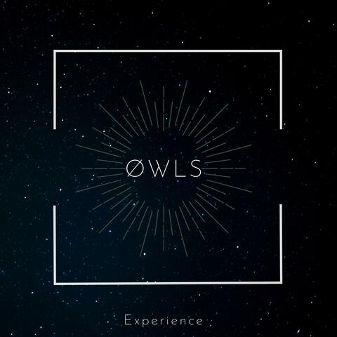 Experience