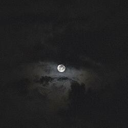 Otra noche