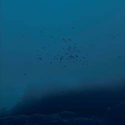 is the unknown our only certainty?