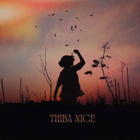 Thiba NIce