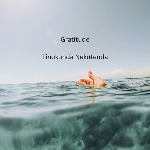 Tinokunda Nekutenda