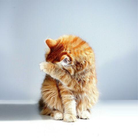 Everything (Loving You)