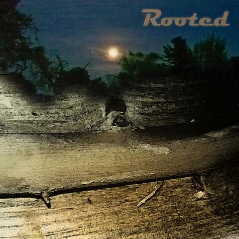 Rooted