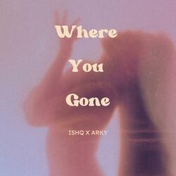 Where You Gone