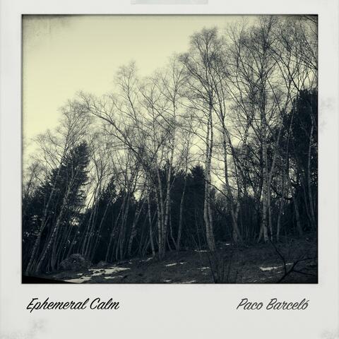 Ephemeral Calm