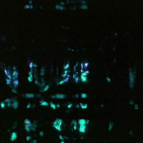I’m Still Here