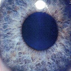 Creating Illussions