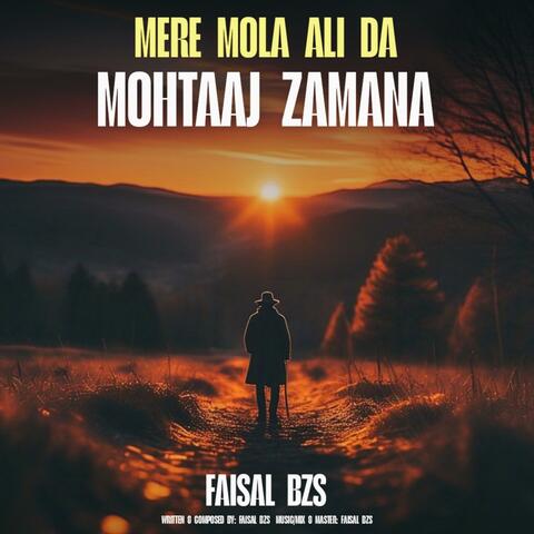 Mere Mola Ali Da Mohtaaj Zamana