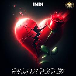 Rosa De Asfalto