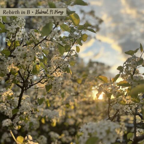 Rebirth in B