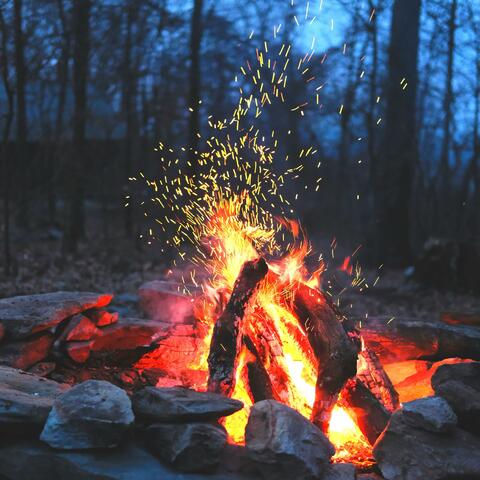 Campfire and Evening Birdsong