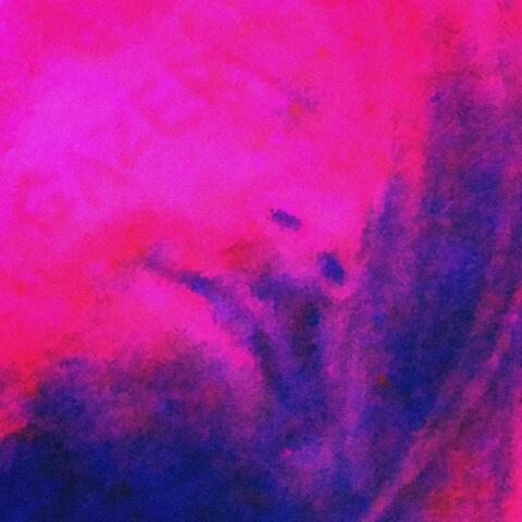 Gazer