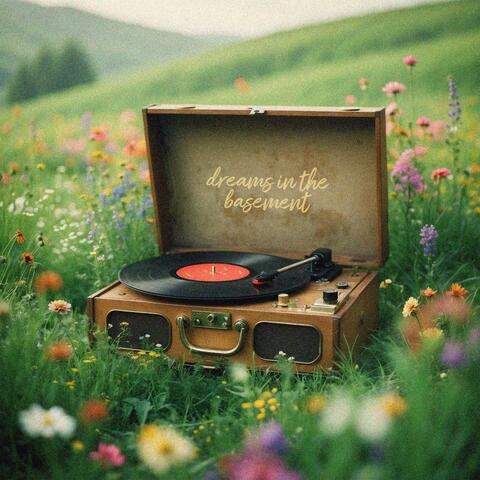 dreams in the basement