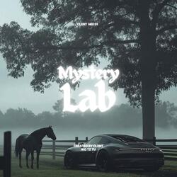Mystery lab