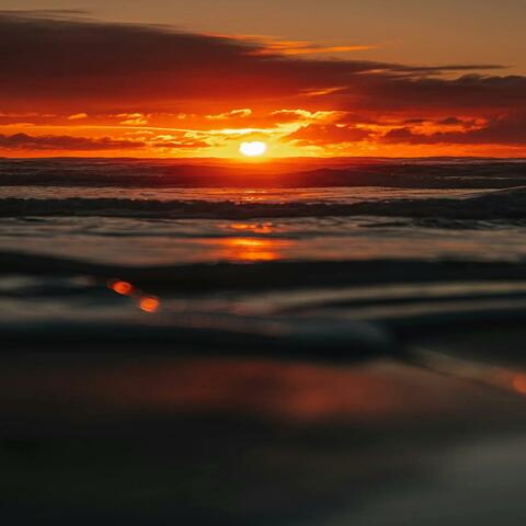 In Quest for Avantasia