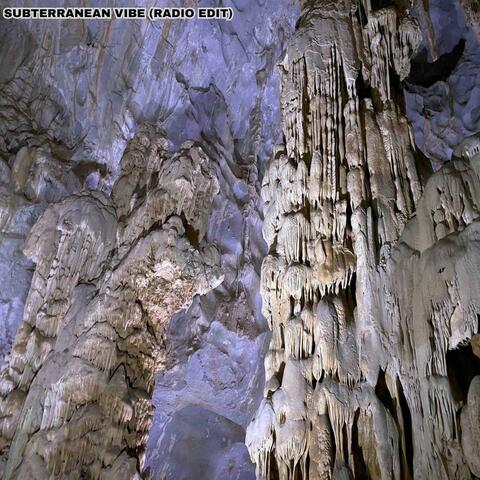 Subterranean Vibes