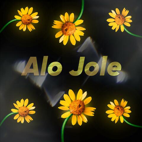 Alo Jole