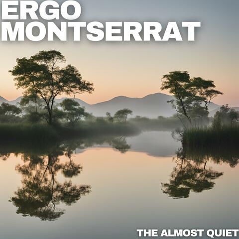 The Almost Quiet