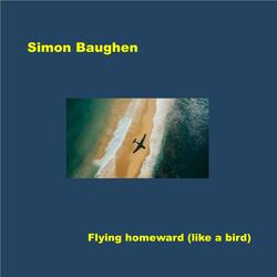 Flying homeward (like a bird)