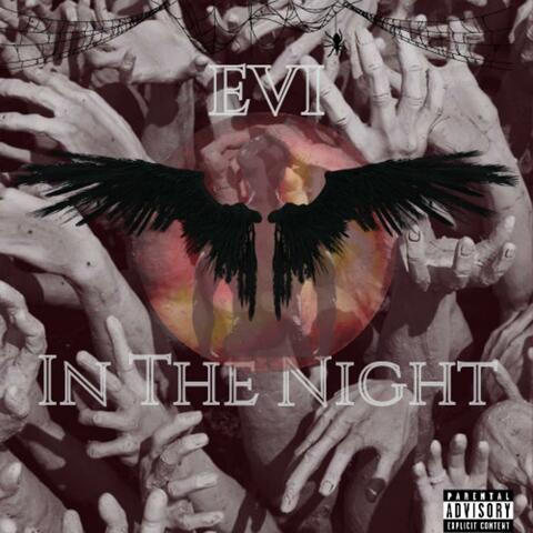 In The Night