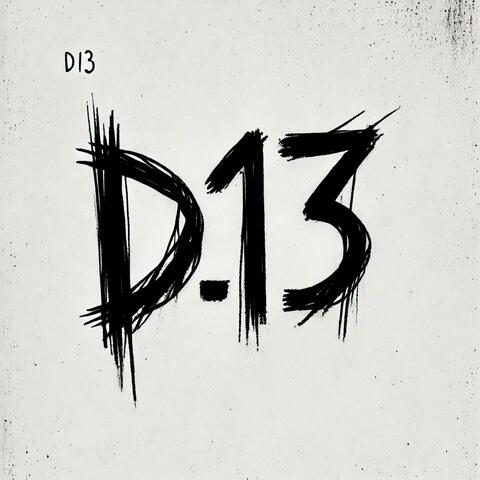 D13