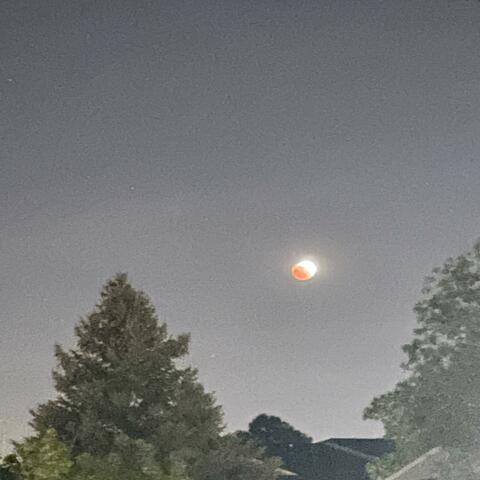 Super Flower Blood Moon