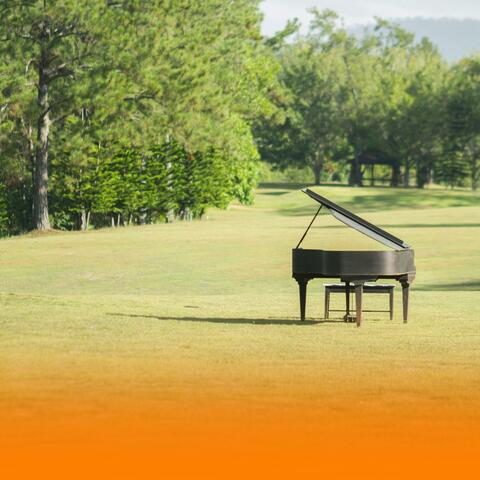 Soothing Piano And Gentle Harp With Ambient Music And Nature Sounds For Deep Sleep And Anxiety Reduction