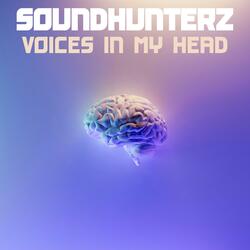 Voices In My Head
