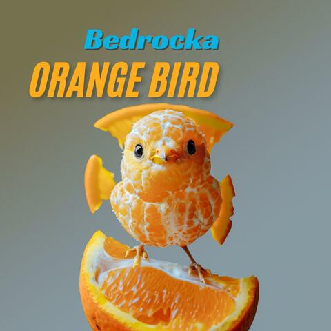 Orange Bird