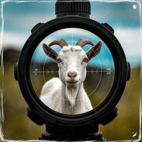 Scope