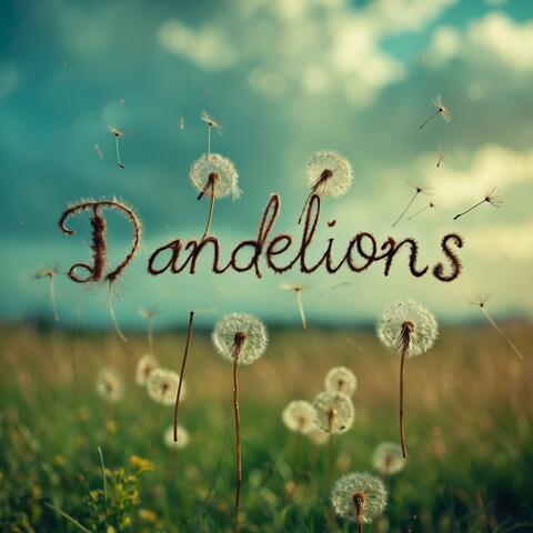 dandelions