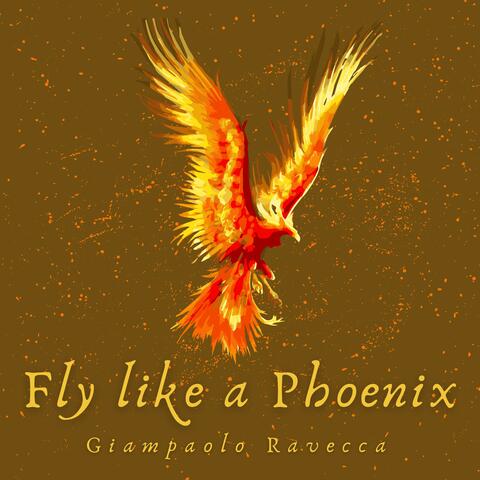 Fly like a Phoenix