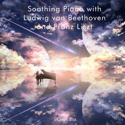 Sonata No. 1 in f minor, Op. 2 No.4