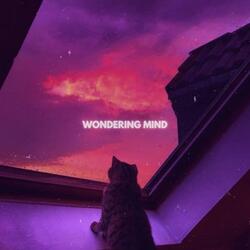 Wondering Mind