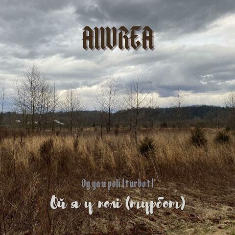 Ой я у полі (турбот)