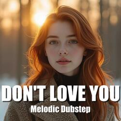 Don't Love You