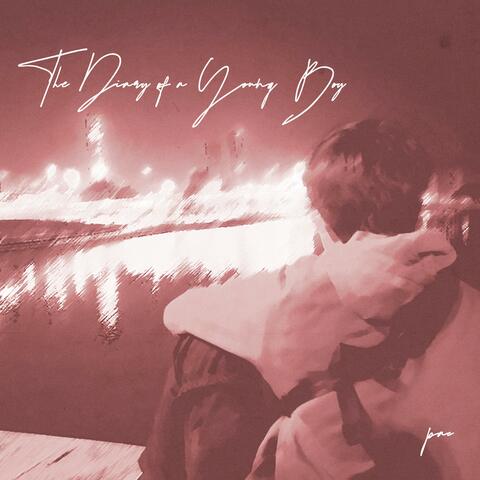 The Diary of a Young Boy
