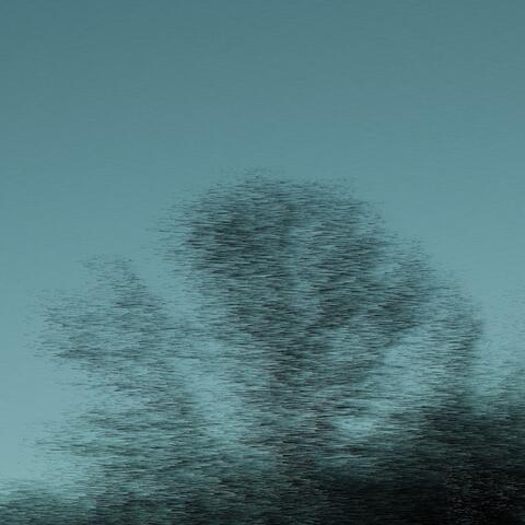 fog II