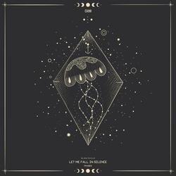 Let me fall in Silence (External Ratio Remix)